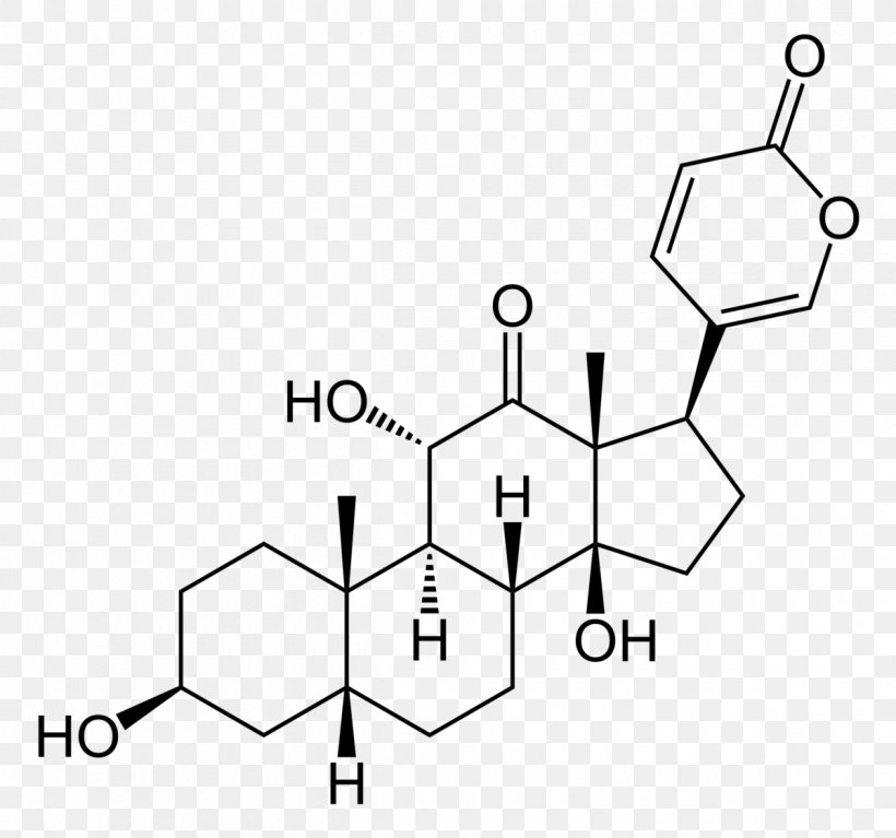 Dehydroepiandrosterone Sulfate Chenodeoxycholic Acid Steroid, PNG, 1200x1123px, Dehydroepiandrosterone, Acetylcoa, Acid, Area, Black And White Download Free