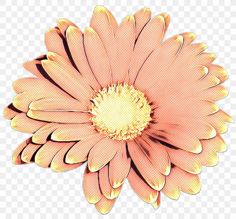 Flowers Background, PNG, 927x860px, Pop Art, Barberton Daisy, Chrysanthemum, Cut Flowers, Daisy Family Download Free