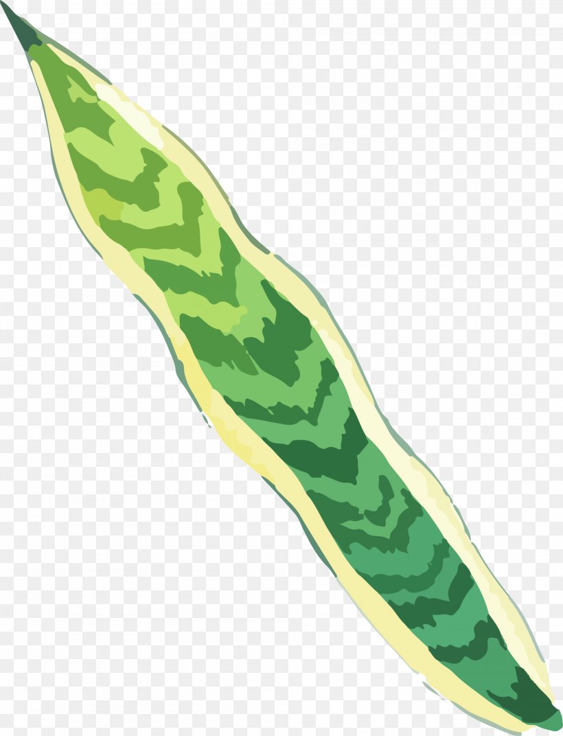 Green Hand Painted Grass, PNG, 2000x2617px, Graphic Designer, Cold Weapon, Cover Art, Green, Illustrator Download Free