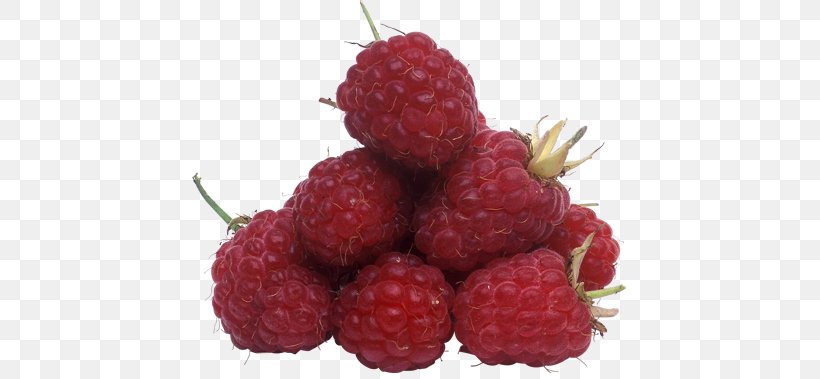 Red Raspberry PhotoScape, PNG, 435x379px, Raspberry, Auglis, Berry, Boysenberry, Food Download Free
