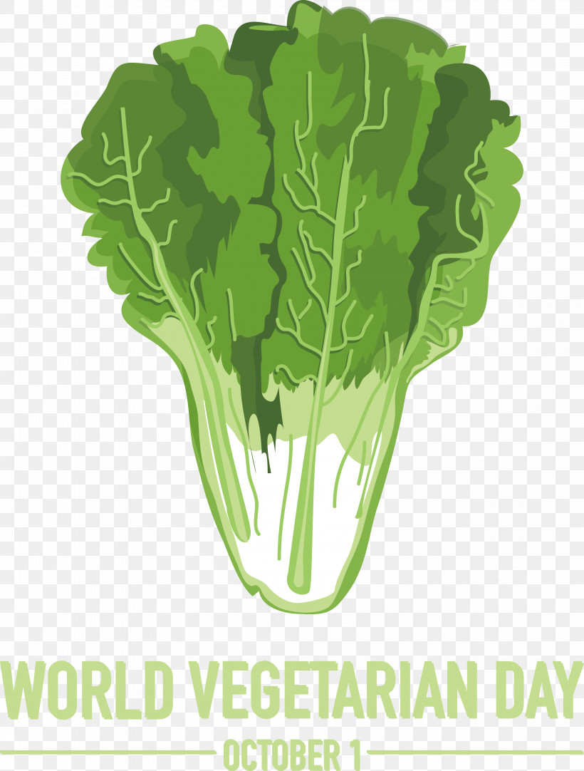 Salad, PNG, 4137x5460px, Napa Cabbage, Autumn Vegetables, Cabbage, Celtuce, Drawing Download Free