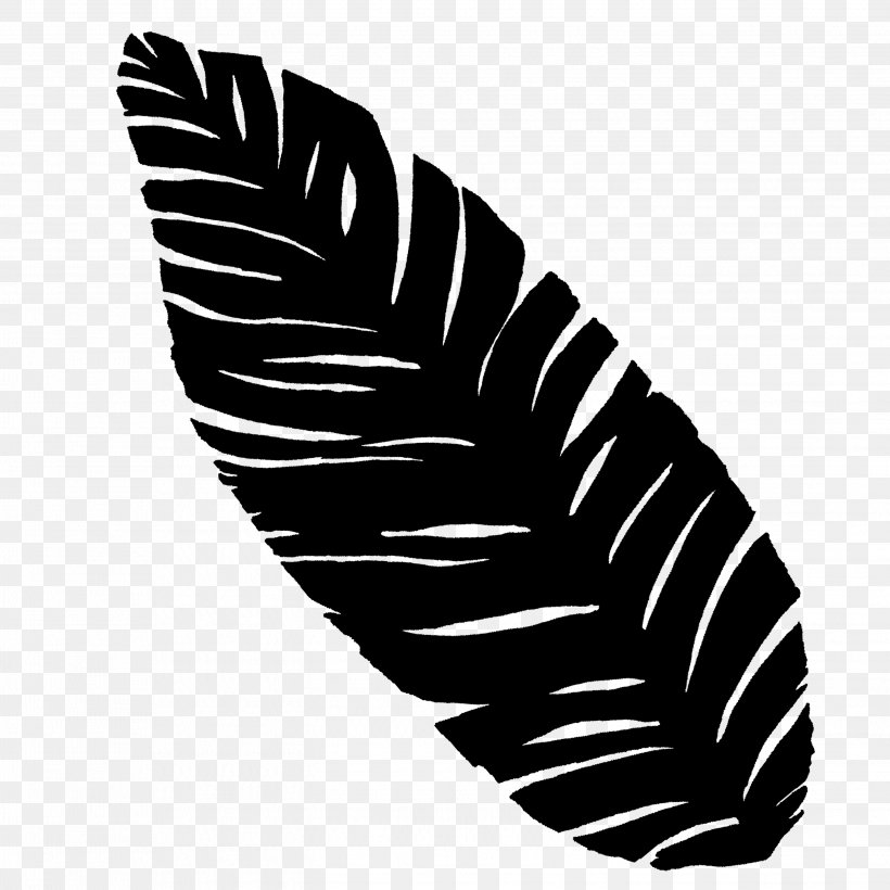 Video Image Graphics Screen Printing Gift, PNG, 2896x2896px, Video, Black, Blackandwhite, Feather, Friendship Download Free