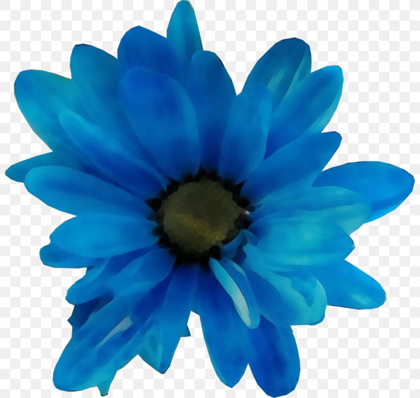 Blue Petal Gerbera Flower Cobalt Blue, PNG, 800x777px, Watercolor, African Daisy, Aqua, Blue, Cobalt Blue Download Free