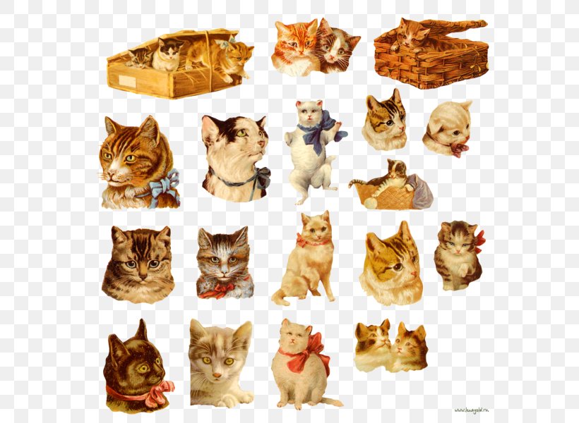 Cat Collage Decoupage Clip Art, PNG, 599x600px, Cat, Carnivoran, Cat Like Mammal, Collage, Decoupage Download Free