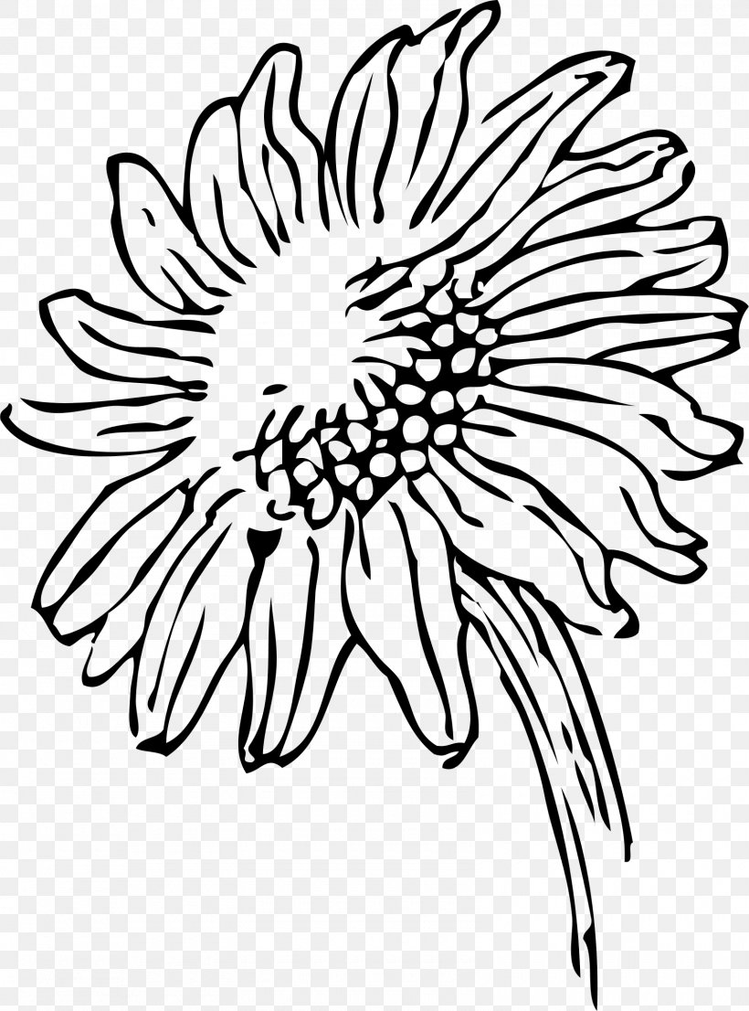 Drawing Common Sunflower Clip Art, PNG, 1600x2159px, Drawing, Artwork, Black, Black And White, Blog Download Free