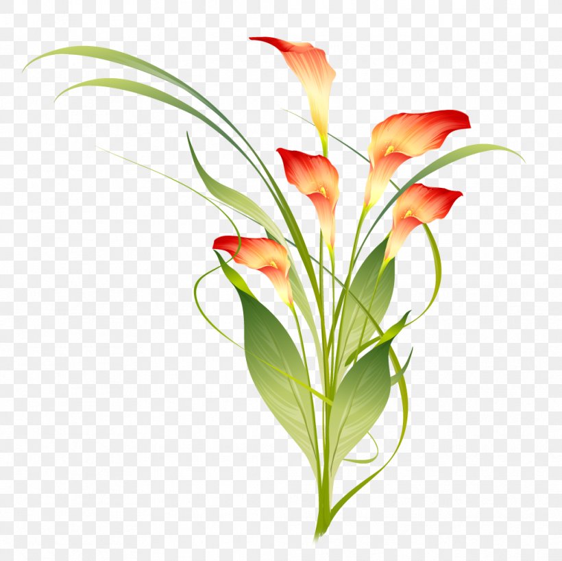 Flower Photography Clip Art, PNG, 1014x1012px, Flower, Alstroemeriaceae, Artificial Flower, Bud, Cut Flowers Download Free