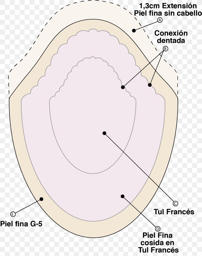 Prótesis Capilar Circle Angle Diagram Area, PNG, 1376x1741px, Watercolor, Cartoon, Flower, Frame, Heart Download Free