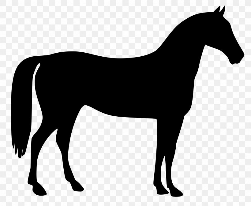 Arabian Horse American Quarter Horse Equestrian Clip Art, PNG, 2400x1970px, Arabian Horse, American Quarter Horse, Black, Black And White, Bridle Download Free