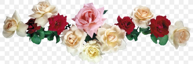 Download Clip Art, PNG, 800x275px, Rose, Body Jewelry, Cut Flowers, Fashion Accessory, Flower Download Free