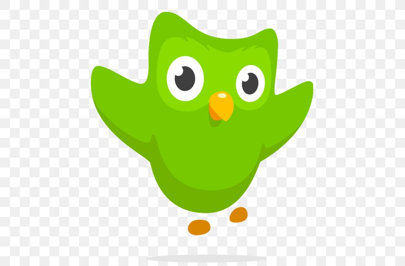 Duolingo Learning Foreign Language Word, PNG, 500x540px, Duolingo, Amphibian, Beak, Bird, Cartoon Download Free