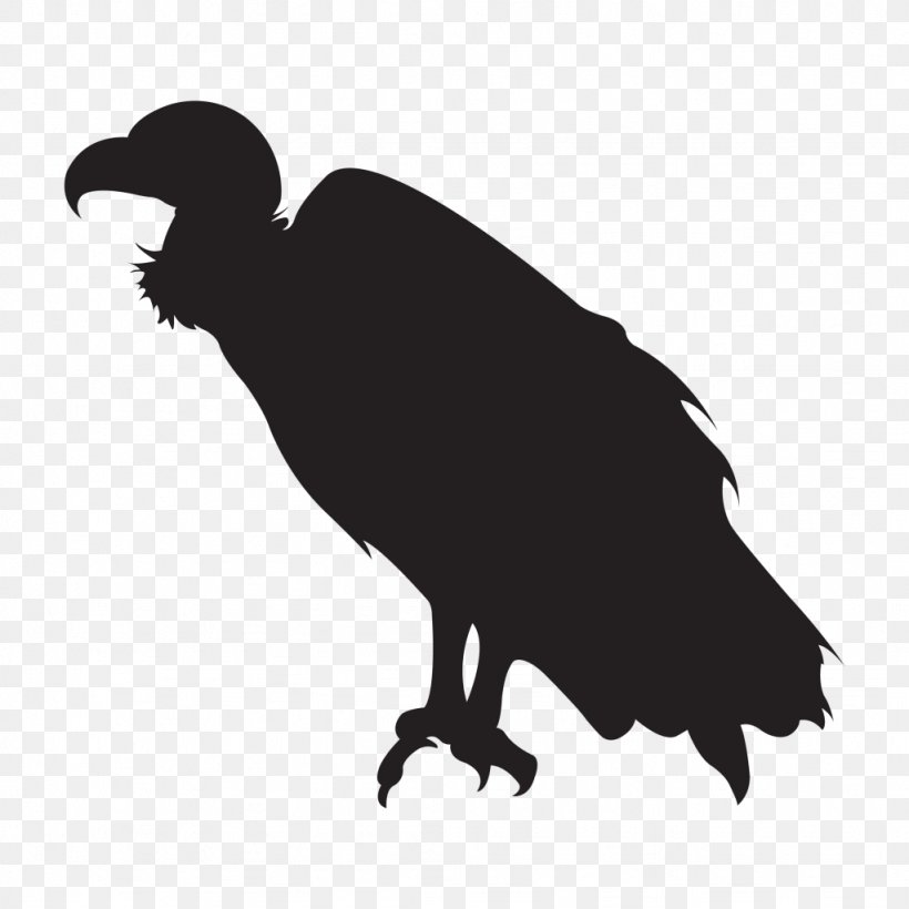 Incarnate Clothing Northern England Silhouette Fauna Beak, PNG, 1024x1024px, Northern England, Aesthetics, Beak, Bird, Bird Of Prey Download Free