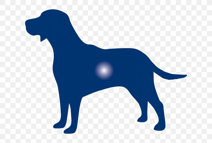 Labrador Retriever Puppy Dog Breed Sporting Group, PNG, 720x555px, Labrador Retriever, Breed, Carnivoran, Dog, Dog Breed Download Free
