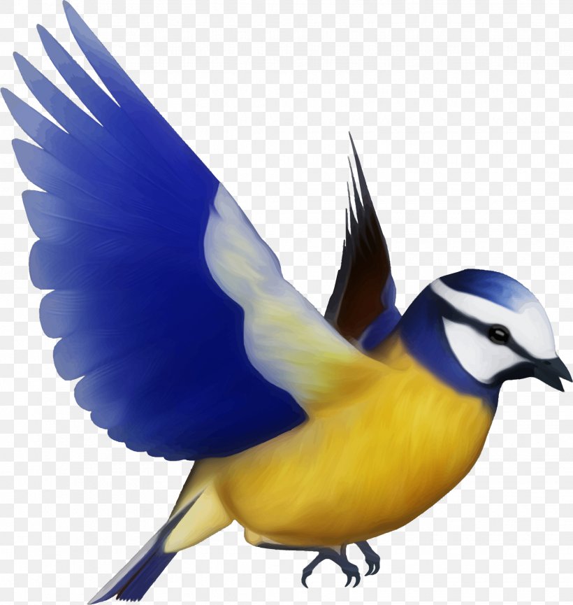 Bird Silhouette Clip Art, PNG, 1965x2073px, Bird, Beak, Bird Flight, Blue Jay, Bluebird Download Free