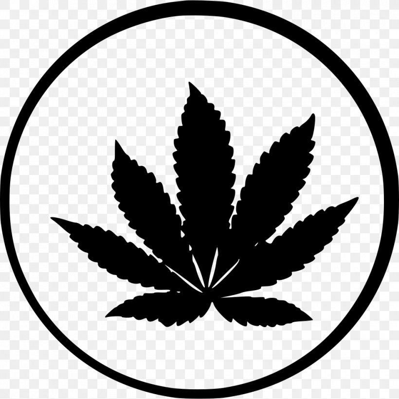 Cannabis Ruderalis Cannabis Sativa Cannabis Cultivation Kush, PNG, 980x982px, Cannabis Ruderalis, Autoflowering Cannabis, Blackandwhite, Bong, Cannabis Download Free