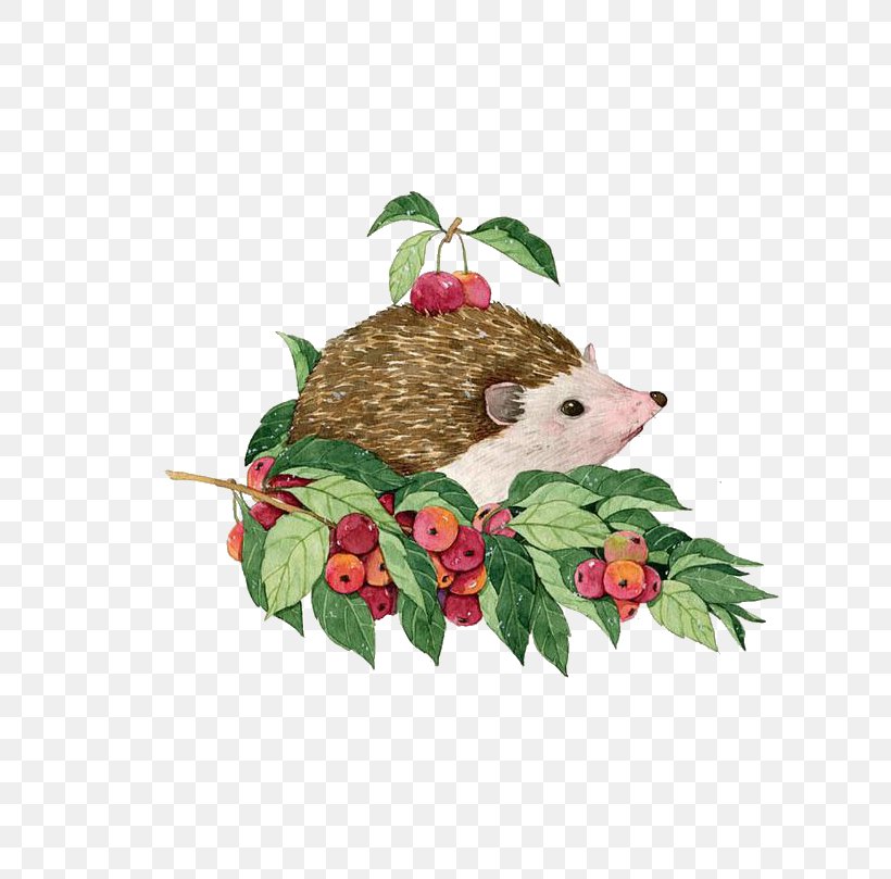 Hedgehog Watercolor Painting Illustration, PNG, 615x809px, Hedgehog, Christmas Ornament, Color, Creative Work, Drawing Download Free