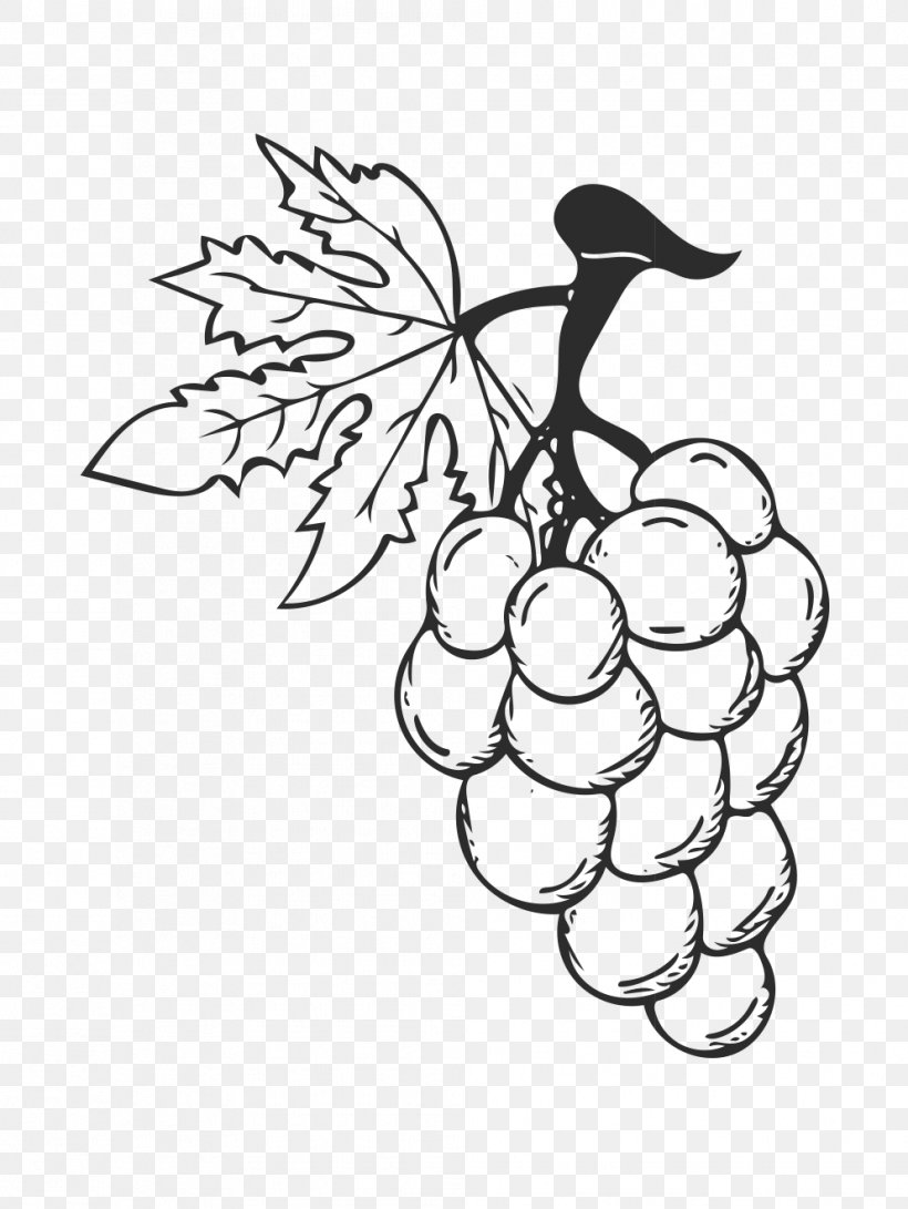 Red Wine Grape, PNG, 993x1322px, Red Wine, Art, Auglis, Black And White, Branch Download Free
