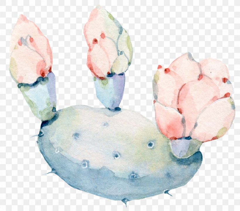Watercolor: Flowers Watercolor Painting Cactaceae, PNG, 2053x1805px, Watercolor Flowers, Cactaceae, Color, Drawing, Food Download Free