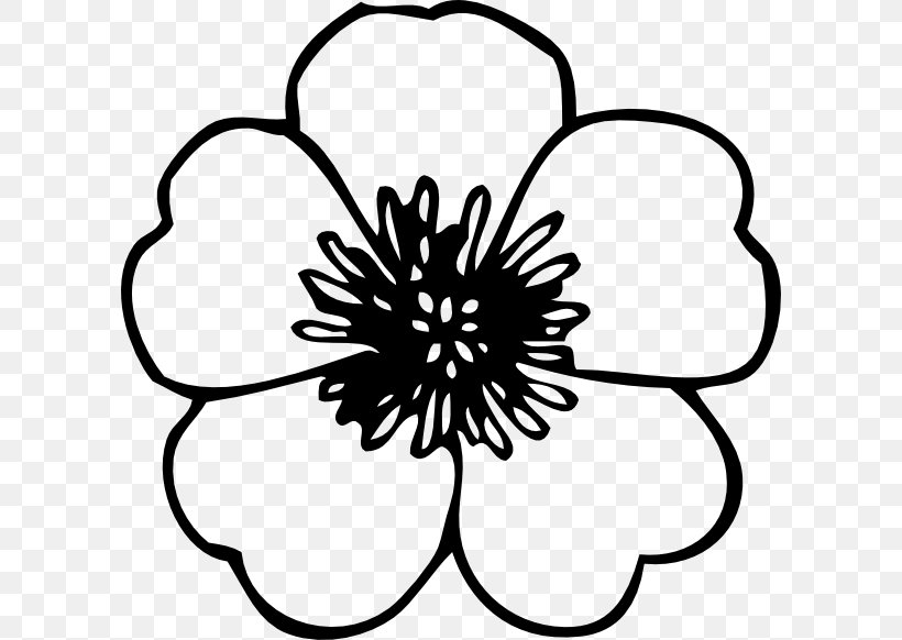 Clip Art Openclipart Free Content Flower Black, PNG, 600x582px, Flower, Black, Blackandwhite, Blog, Coloring Book Download Free