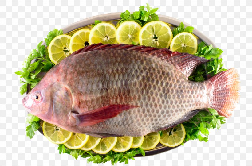 Kipper Iridescent Shark Tilapia Fish Products, PNG, 2048x1353px, Kipper, Animal Source Foods, Dish, Fillet, Fish Download Free