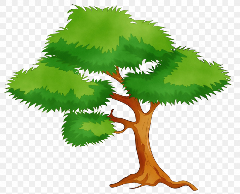 Leaf Plant Stem Tree Green Meter, PNG, 1409x1144px, Watercolor, Biology, Branching, Green, Leaf Download Free