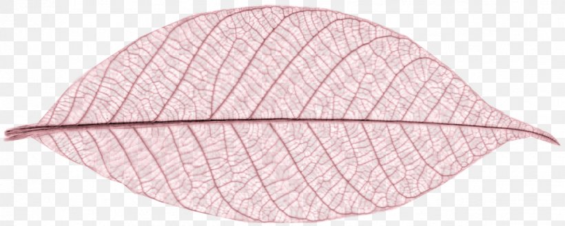 Leaf, PNG, 1174x470px, Leaf, Pink Download Free