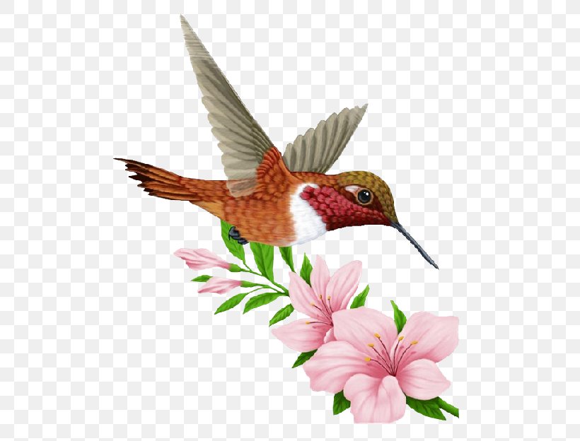 Hummingbird Bird Organism, PNG, 500x624px, Flower, Beak, Bird, Fauna, Hummingbird Download Free