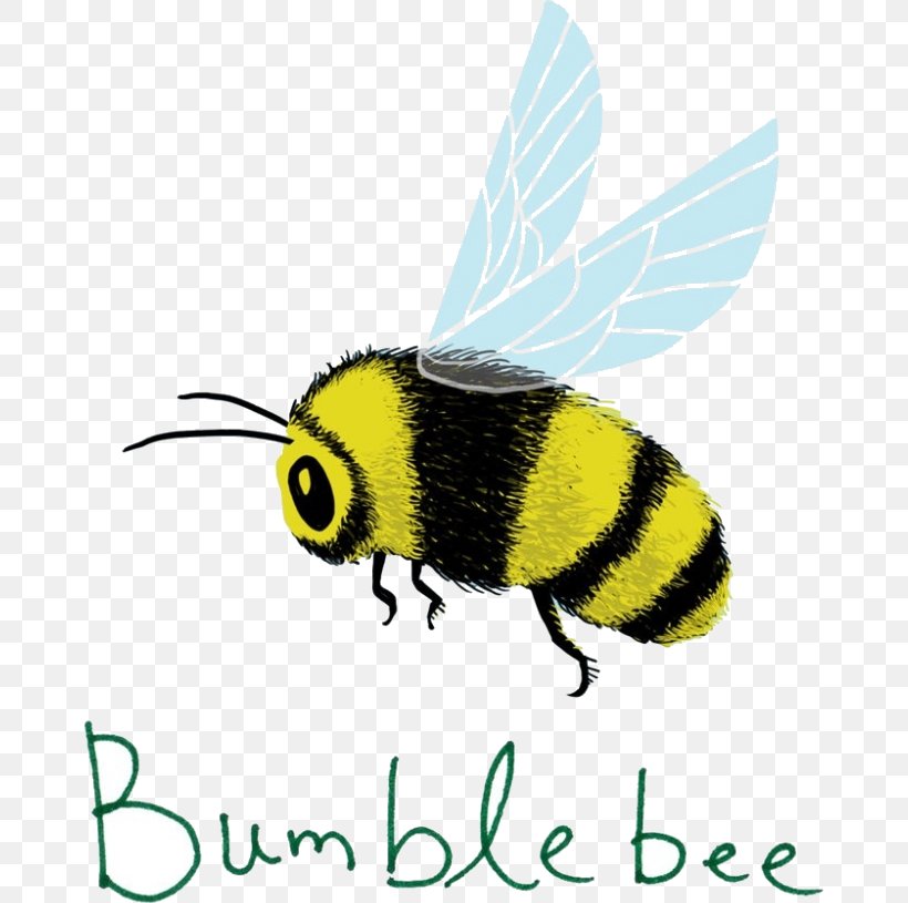 Bumblebee, PNG, 668x815px, Insect, Bee, Bumblebee, Fly, Honeybee Download Free