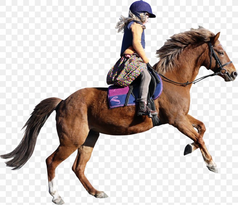 Equestrian Riding Horse Bystrzyca Clip Art, PNG, 1280x1106px, Equestrian, Animal Sports, Bridle, Bystrzyca, English Riding Download Free