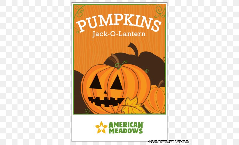 Jack-o'-lantern Halloween Dough Candy Cookie Cutter, PNG, 500x500px, Halloween, Advertising, Bird, Calabaza, Candy Download Free