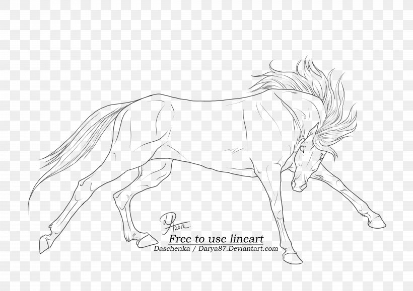 Arabian Horse Line Art Drawing Wild Horse, PNG, 4961x3508px, Arabian Horse, Arm, Art, Artwork, Black And White Download Free