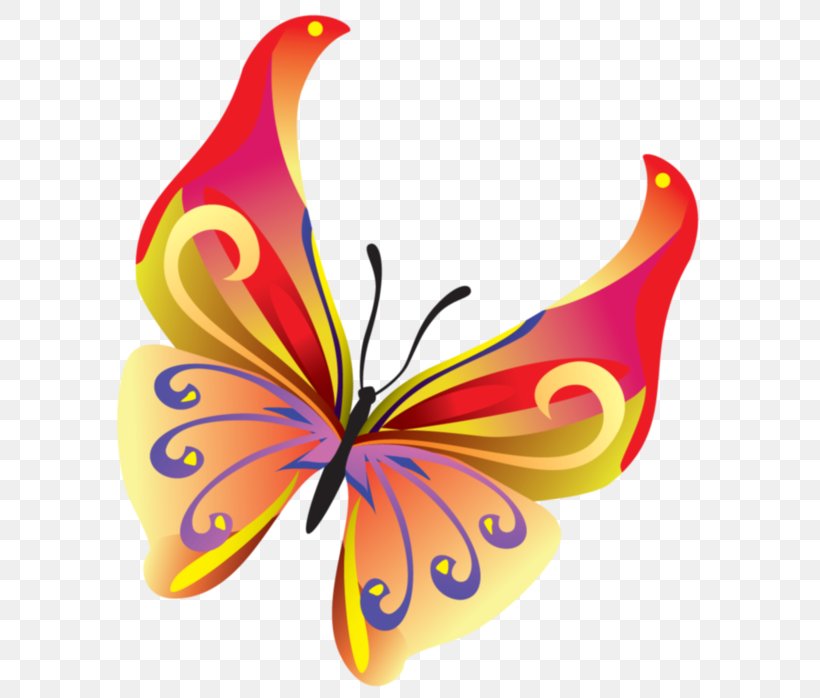 Butterfly Insect Vector Graphics Clip Art Image, PNG, 606x698px, Butterfly, Arthropod, Beautiful Butterflies, Brush Footed Butterfly, Brushfooted Butterflies Download Free