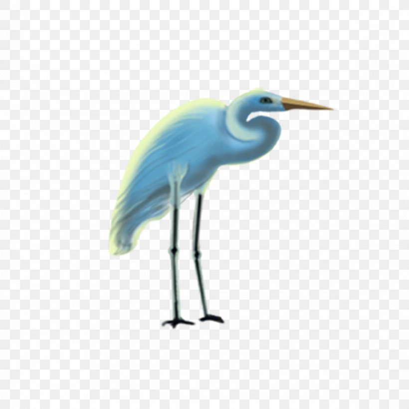 Crane Cartoon Drawing, PNG, 1181x1181px, Crane, Beak, Bird, Cartoon, Concepteur Download Free