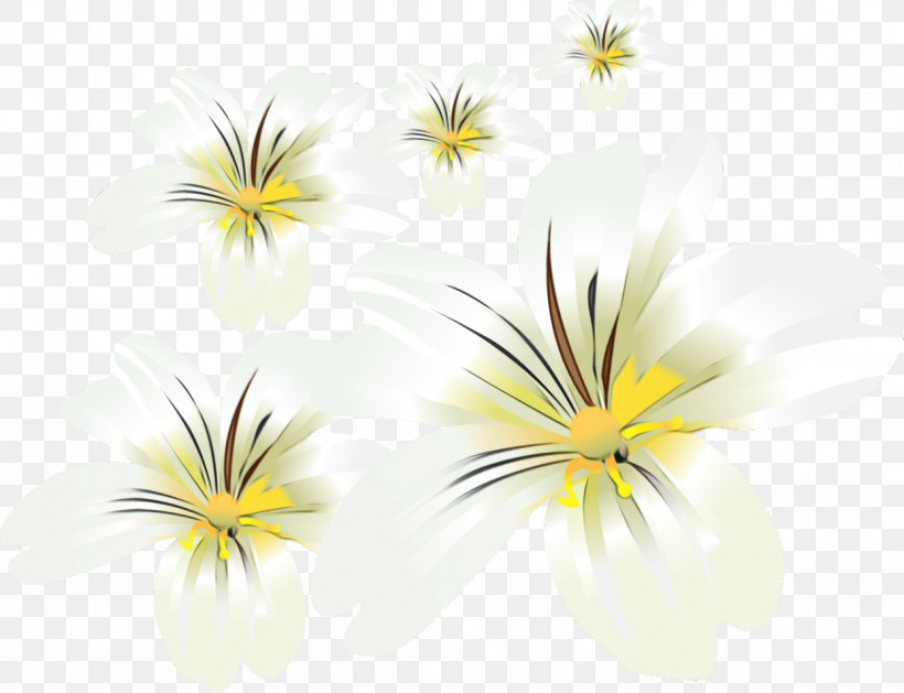 Cut Flowers Petal Yellow Flower, PNG, 1244x955px, Lily Flower, Cut Flowers, Flower, Paint, Petal Download Free