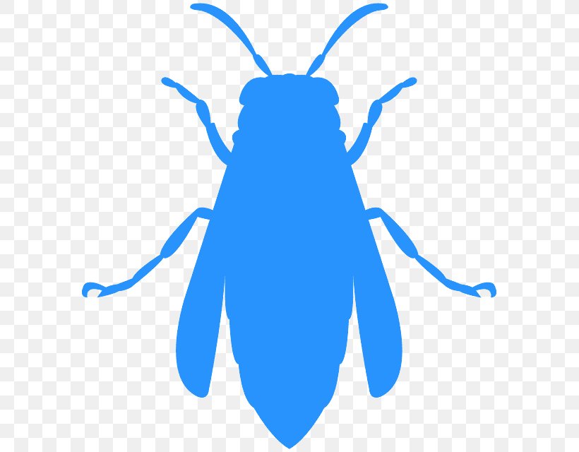 Insect Blue Cobalt Blue Pest Parasite, PNG, 595x640px, Insect, Blue, Cobalt Blue, Parasite, Pest Download Free