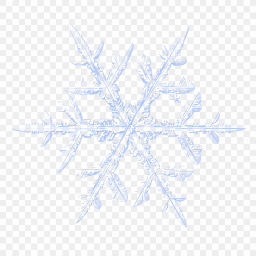 Snowflake, PNG, 2500x2500px, White, Leaf, Plant, Snowflake Download Free