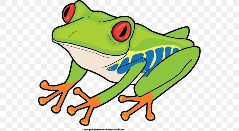 Red-eyed Tree Frog Australian Green Tree Frog Clip Art, PNG, 559x449px, Redeyed Tree Frog, Agalychnis, American Green Tree Frog, Amphibian, Animal Download Free