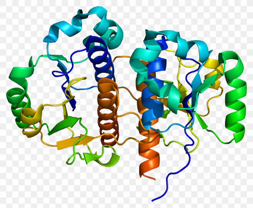 TARBP1 Enzyme Gene Protein Clip Art, PNG, 1032x849px, Watercolor, Cartoon, Flower, Frame, Heart Download Free