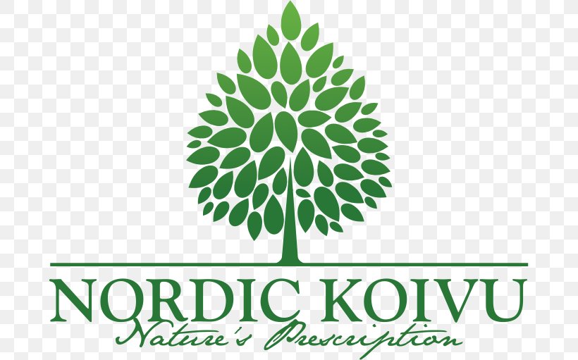 Birch Sap Food Juice Nordic Koivu Oy, PNG, 681x511px, Birch Sap, Birch, Brand, Drink, Flora Download Free