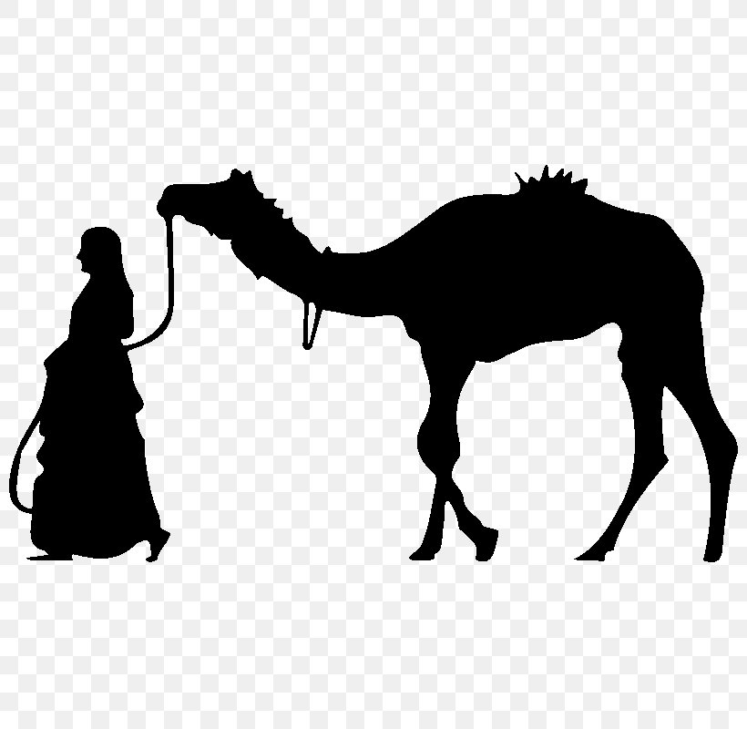 Camel Saatchi Art Painting Illustration, PNG, 800x800px, Camel, Adaptation, Arabian Camel, Arabic Language, Art Download Free