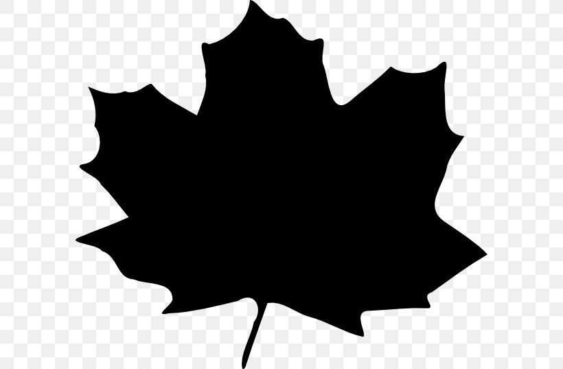 Clip Art Maple Leaf Free Content Graphics, PNG, 600x537px, Maple Leaf, Black, Black M, Black Maple, Blackandwhite Download Free