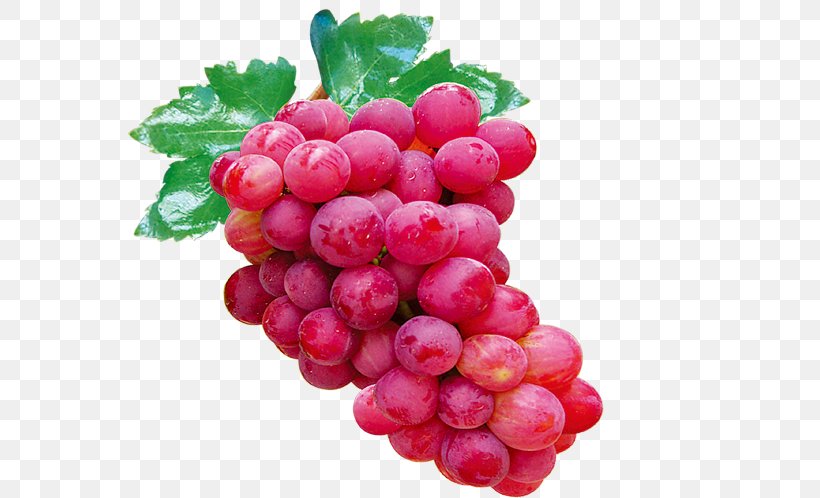 Grape Auglis Icon, PNG, 600x498px, Grape, Auglis, Berry, Cranberry, Dots Per Inch Download Free