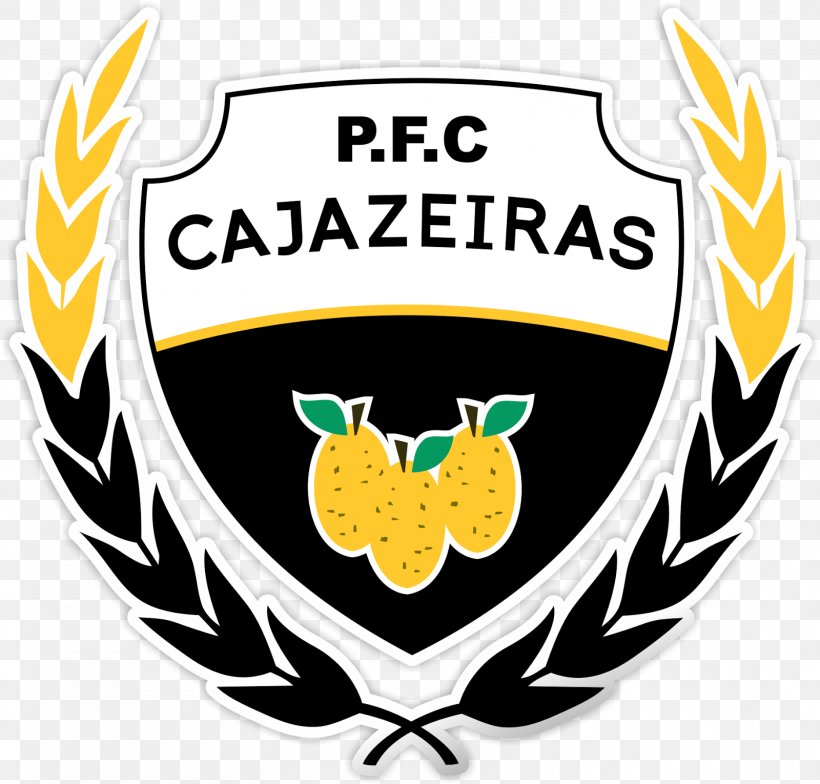 Pituaçu Futebol Clube Cajazeiras Alagoinhas Atlético Clube Sports Association Football, PNG, 1600x1530px, Watercolor, Cartoon, Flower, Frame, Heart Download Free