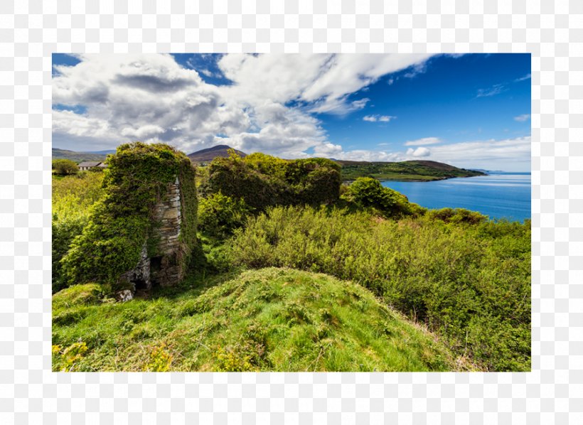 Tuosist Beara Peninsula Photography Vegetation, PNG, 900x657px, Peninsula, Castle, Cloud, Coast, Grass Download Free