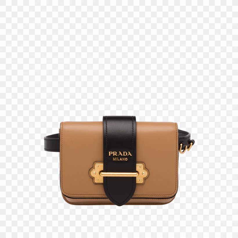 Bum Bags Handbag It Bag Fashion, PNG, 2400x2400px, Bag, Beige, Buckle, Bum Bags, Calfskin Download Free