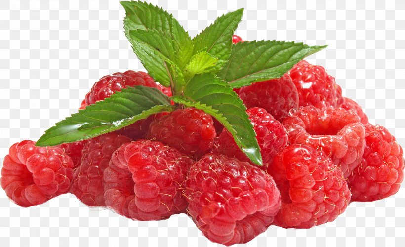 Raspberry Ketone Extract Flavor Fruit, PNG, 3261x1991px, Raspberry, Berry, Concentrate, Diet, Extract Download Free