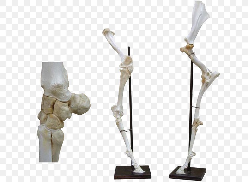 Sculpture Figurine Product Design, PNG, 800x600px, Sculpture, Figurine, Joint Download Free