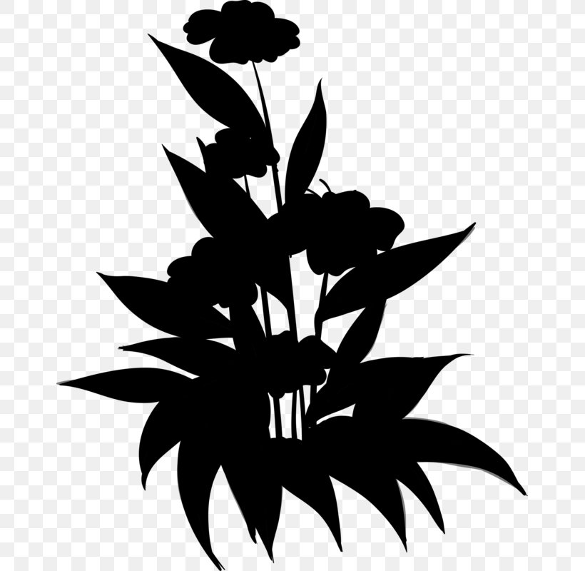 Clip Art Flower Plant Stem Leaf Silhouette, PNG, 661x800px, Flower, Art, Blackandwhite, Botany, Branching Download Free