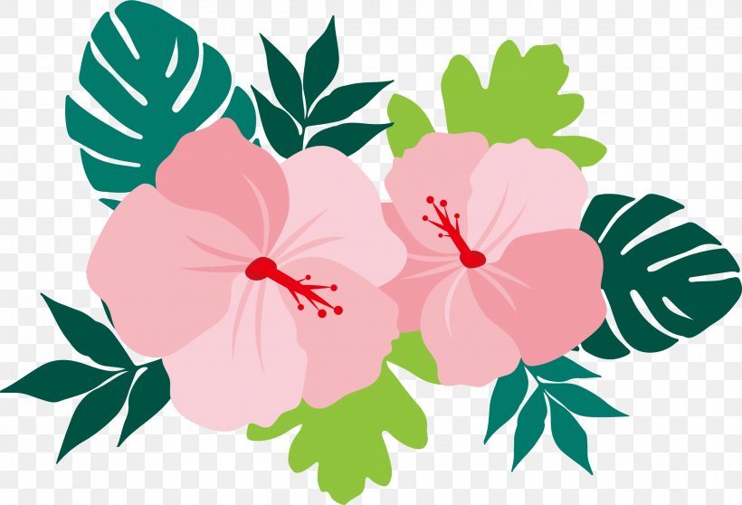 Flower Euclidean Vector Common Hibiscus, PNG, 2279x1552px, Flower, Annual Plant, Cloud 9, Color, Common Hibiscus Download Free
