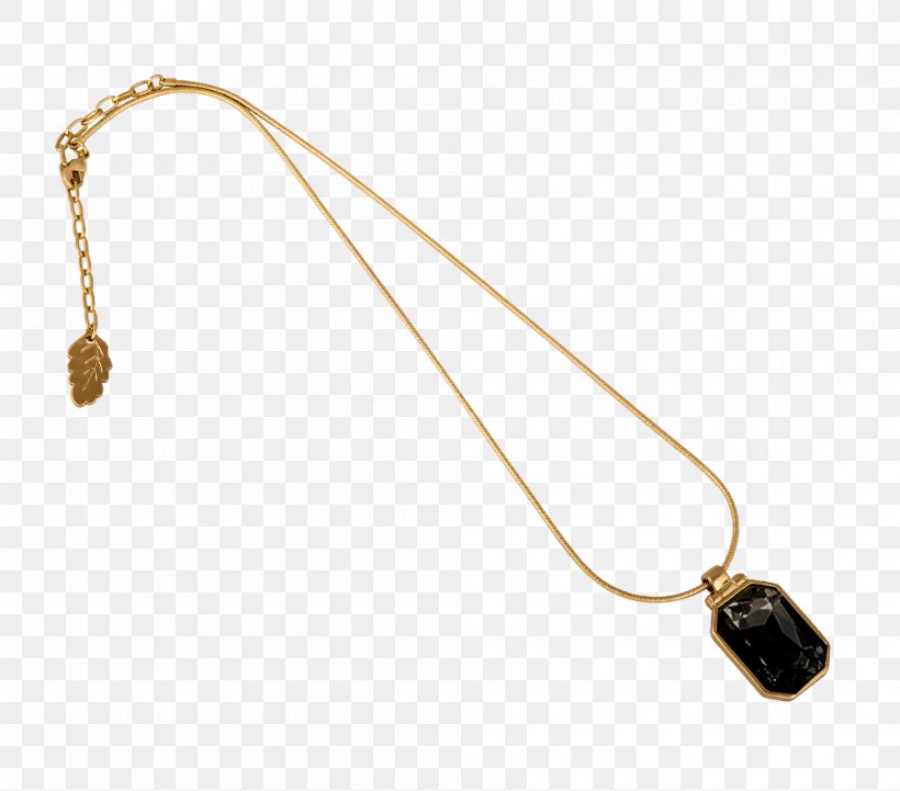 Necklace Amulet Earring Jewellery Charms & Pendants, PNG, 1000x880px, Necklace, Amber, Amulet, Body Jewellery, Body Jewelry Download Free