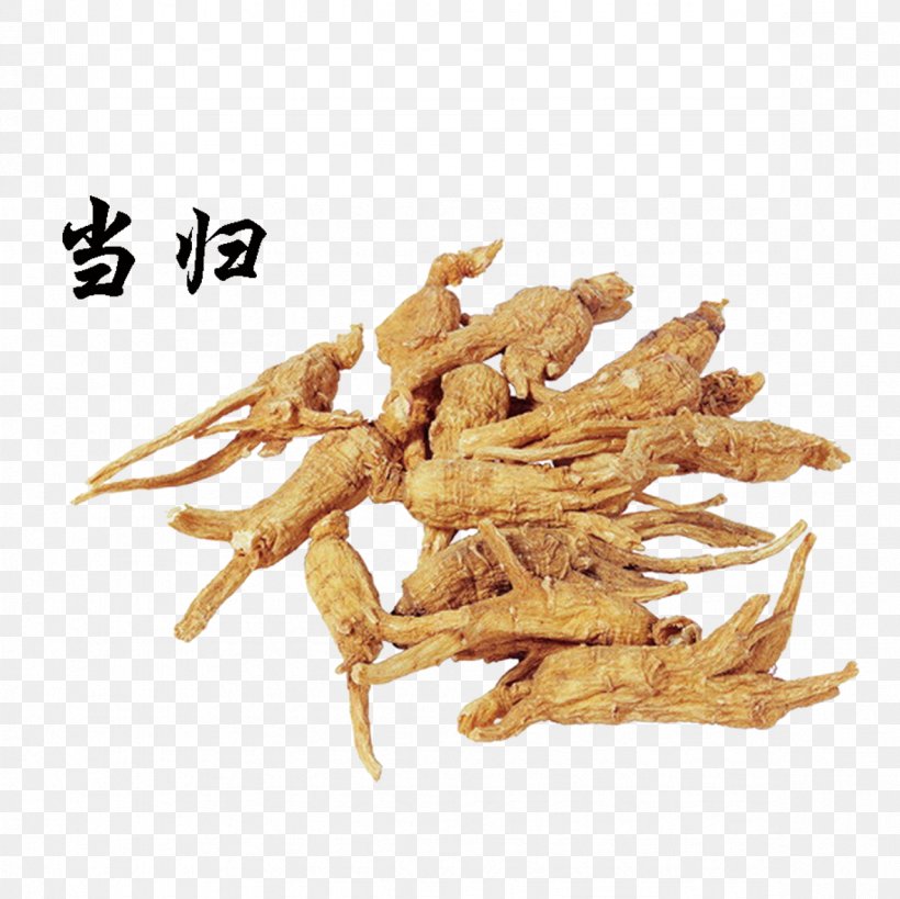 Female Ginseng China Angelica Dahurica Chinese Herbology Traditional Chinese Medicine, PNG, 1181x1181px, Compendium Of Materia Medica, Absence Of Menstruation, Adaptogen, Animal Source Foods, Chinese Herbology Download Free